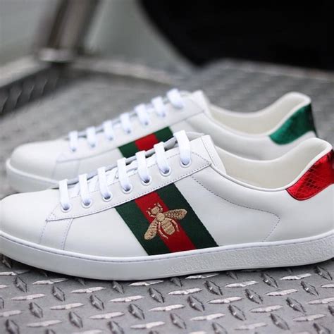 used gucci shoes size 8|Gucci shoes cheapest price.